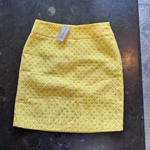 NWT Ann Taylor women’s skirt